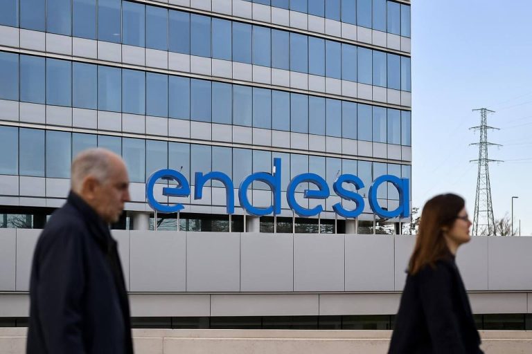 Endesa investiert 38 Millionen Euro zum Schutz der Wälder in Katalonien