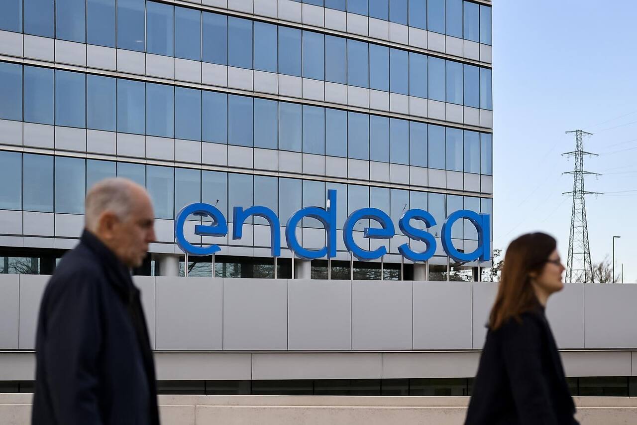 Endesa investiert 38 Millionen Euro zum Schutz der Wälder in Katalonien – Wirtschaft (Endesa)