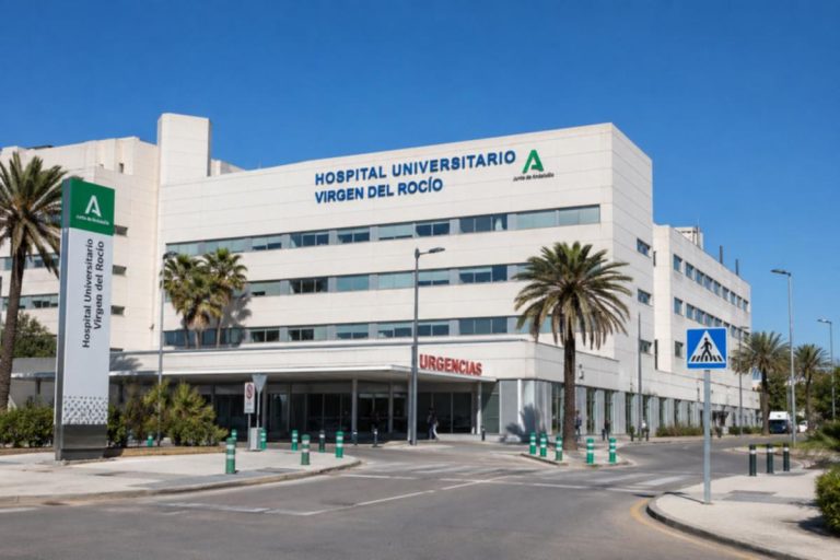 Neue Forschung an der Universität Alicante: Medikamente gegen Alzheimer und Parkinson